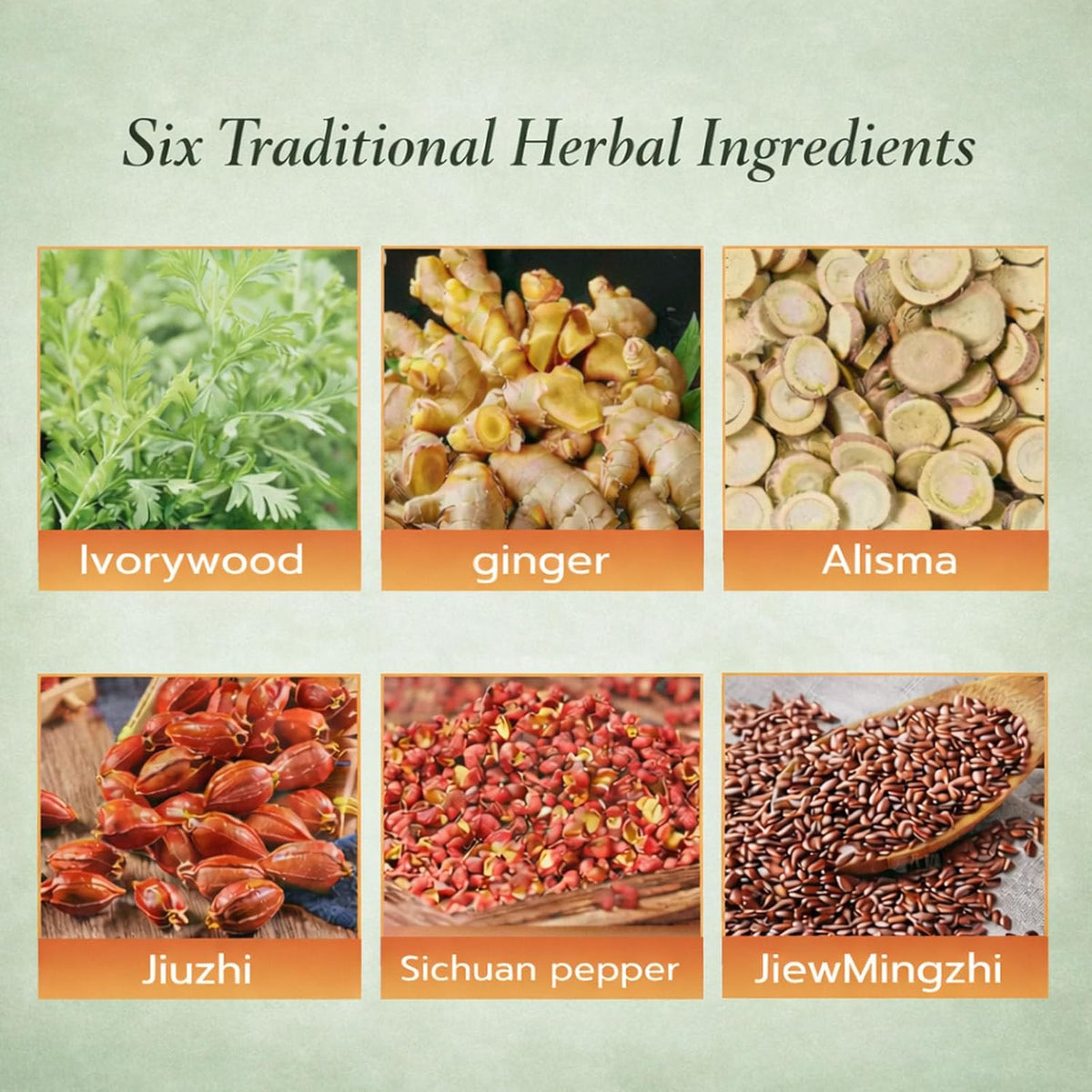 Alcuras® Herbal Balance Patch